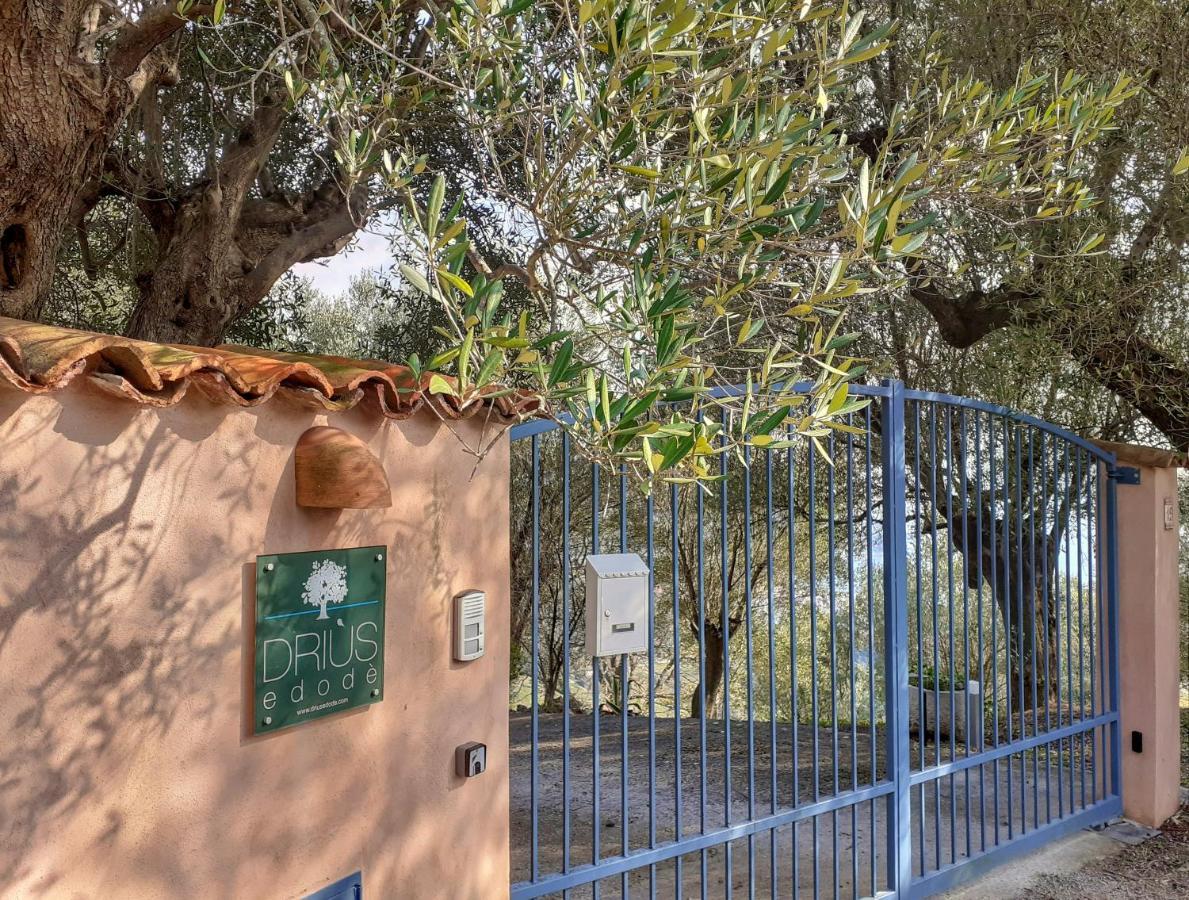 Drius Edode - B&B Affittacamere Torraca Luaran gambar