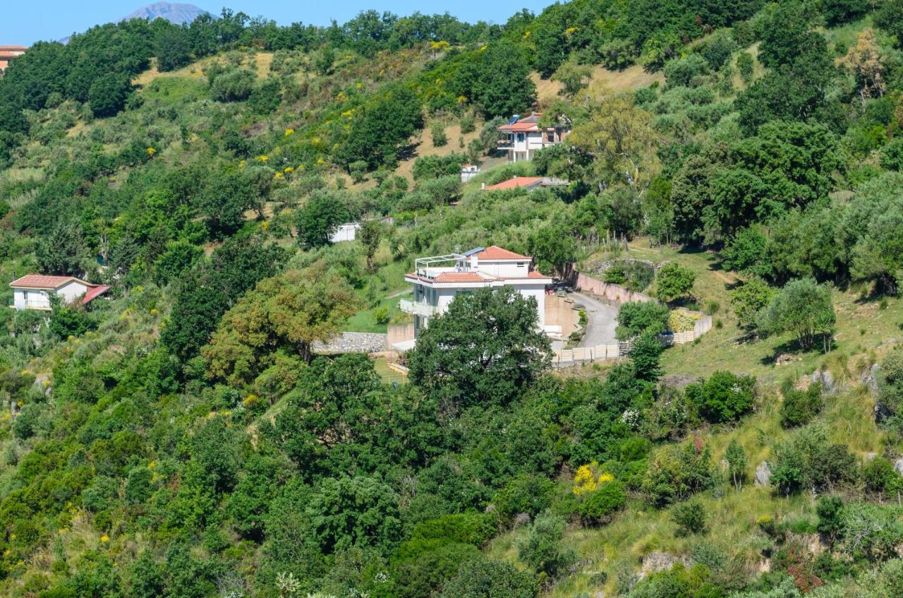 Drius Edode - B&B Affittacamere Torraca Luaran gambar