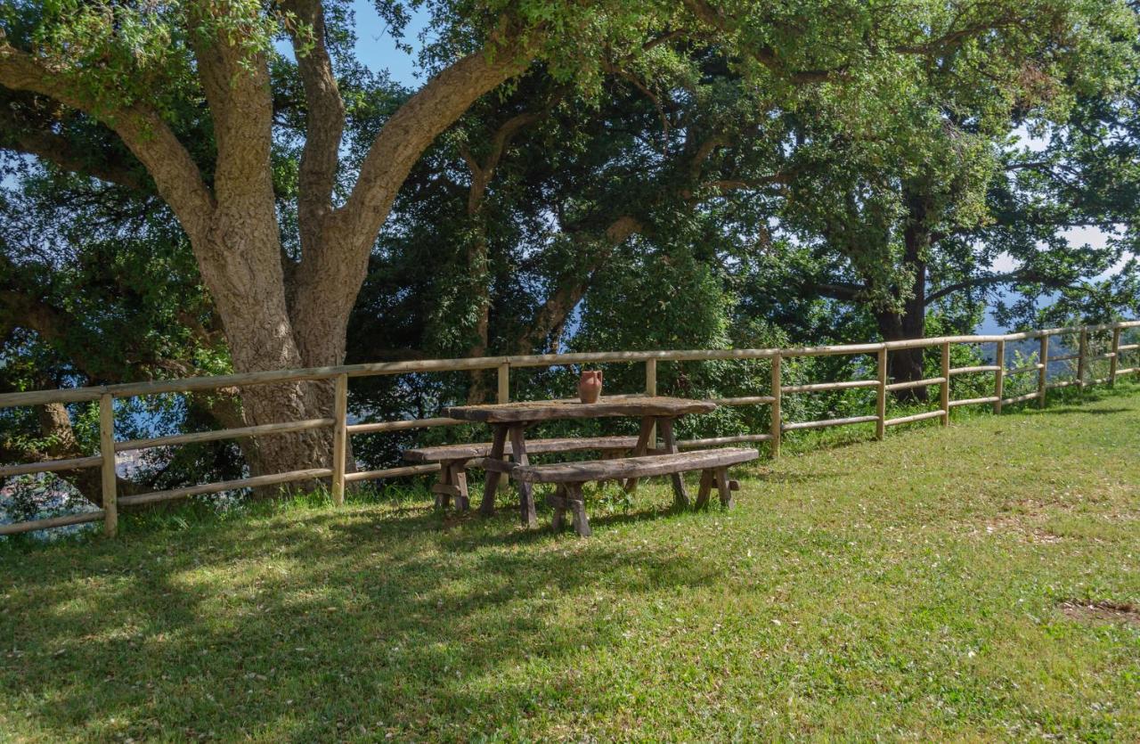 Drius Edode - B&B Affittacamere Torraca Luaran gambar