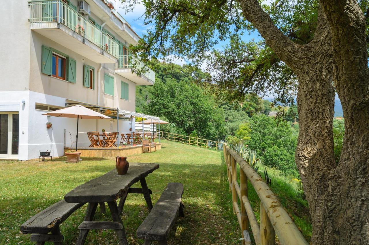 Drius Edode - B&B Affittacamere Torraca Luaran gambar