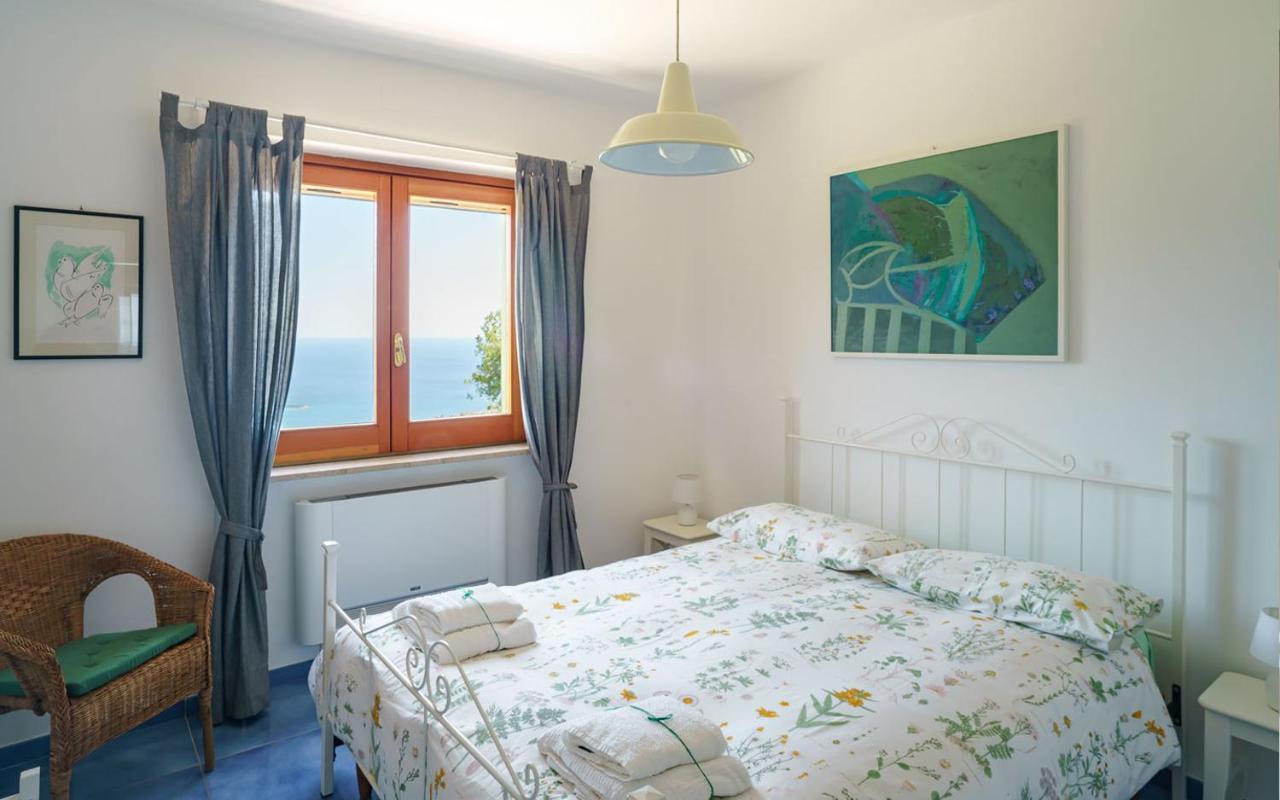 Drius Edode - B&B Affittacamere Torraca Luaran gambar