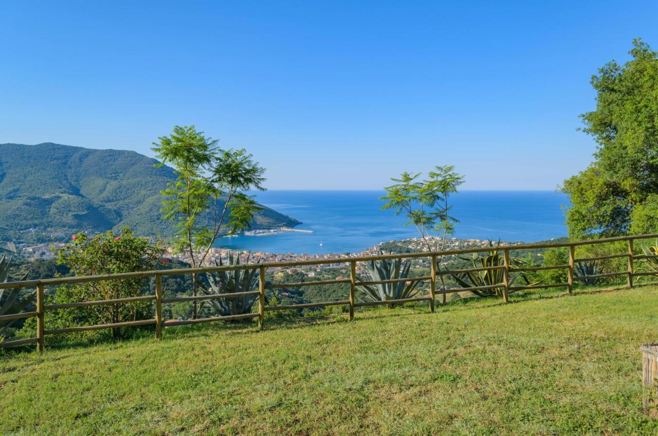 Drius Edode - B&B Affittacamere Torraca Luaran gambar